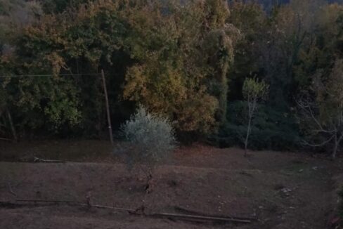 WhatsApp Image 2026-04-02 at 11.03.29