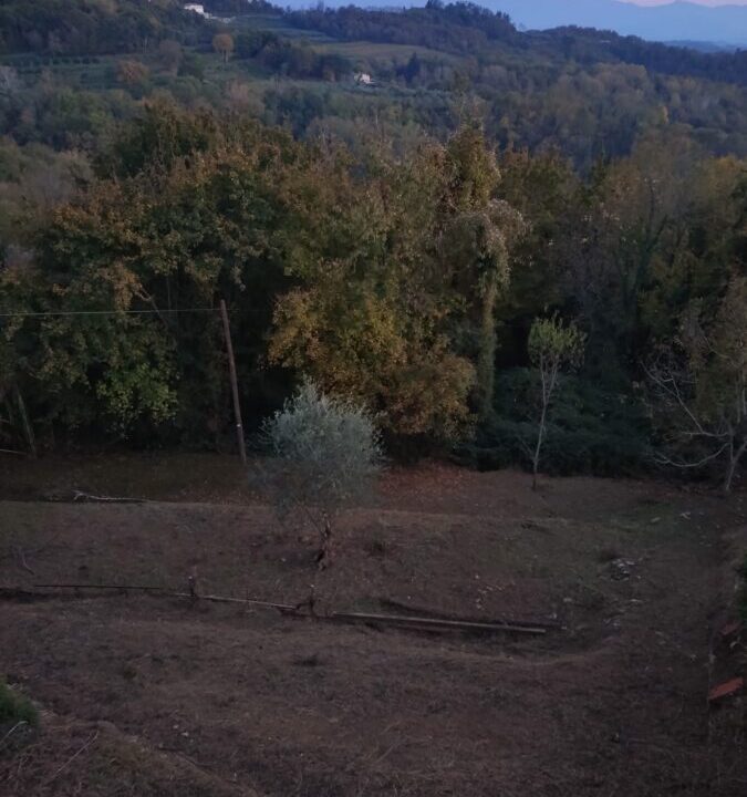 WhatsApp Image 2026-04-02 at 11.03.29