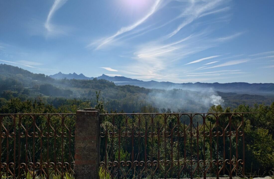 WhatsApp Image 2026-04-02 at 11.03.30 (3)