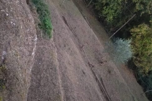 WhatsApp Image 2026-04-02 at 11.03.30