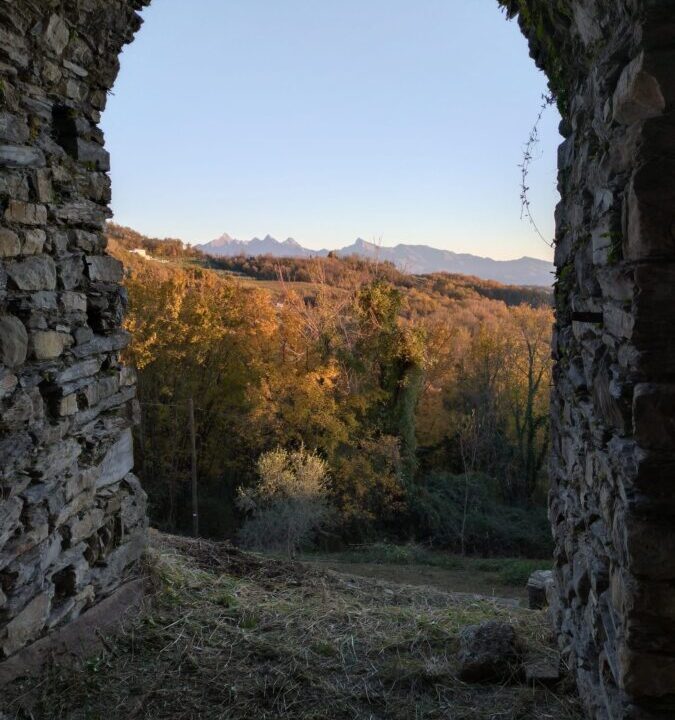 WhatsApp Image 2026-04-02 at 11.03.30 (5)