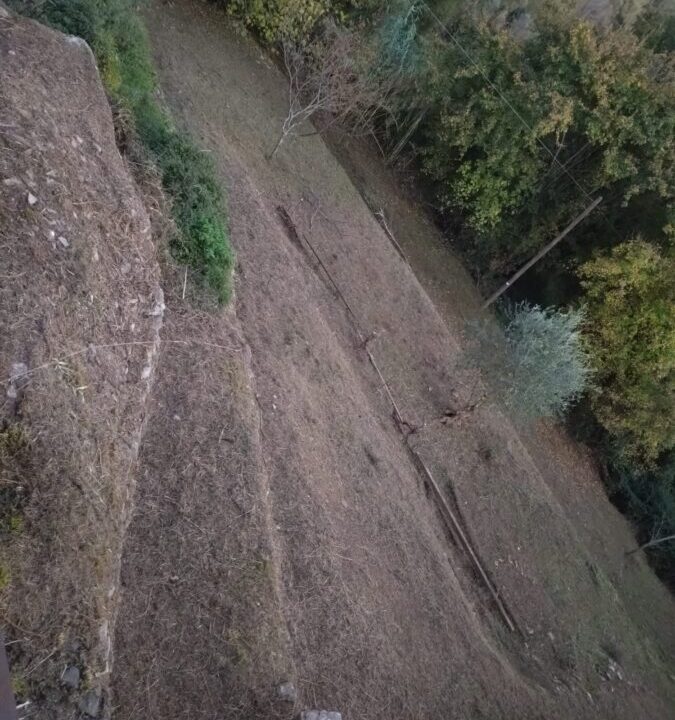 WhatsApp Image 2026-04-02 at 11.03.30