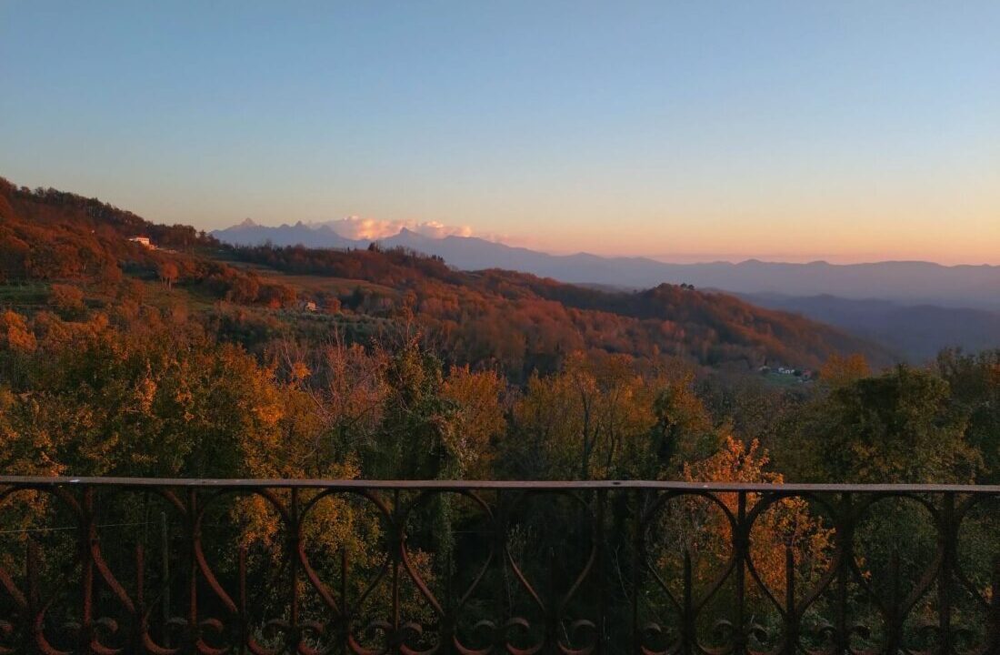 WhatsApp Image 2026-04-02 at 11.03.31 (3)