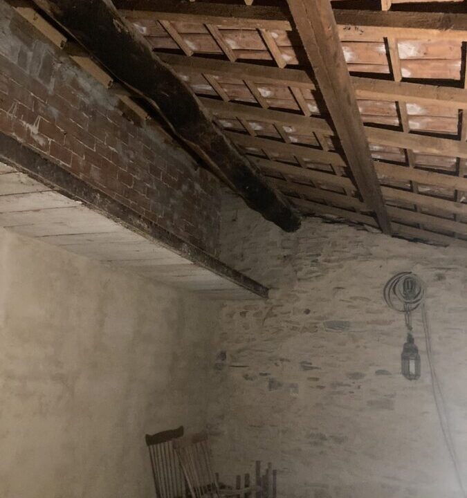 WhatsApp Image 2026-04-02 at 11.03.31 (4)