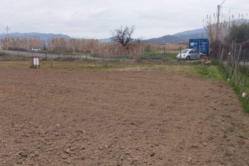 VRI 2454 VV (7)