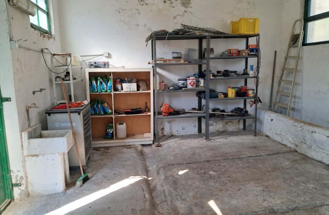 WhatsApp Image 2026-03-19 at 18.07.19 (1)