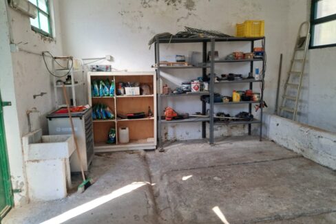 WhatsApp Image 2026-03-19 at 18.07.19 (1)