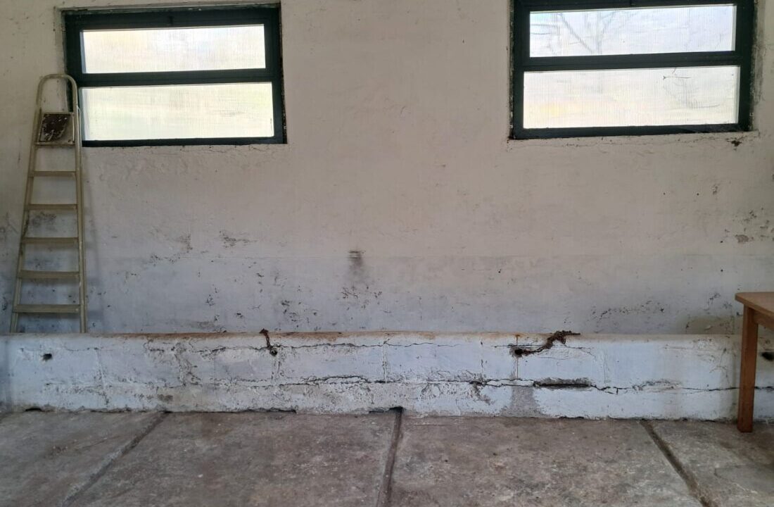 WhatsApp Image 2026-03-19 at 18.07.19