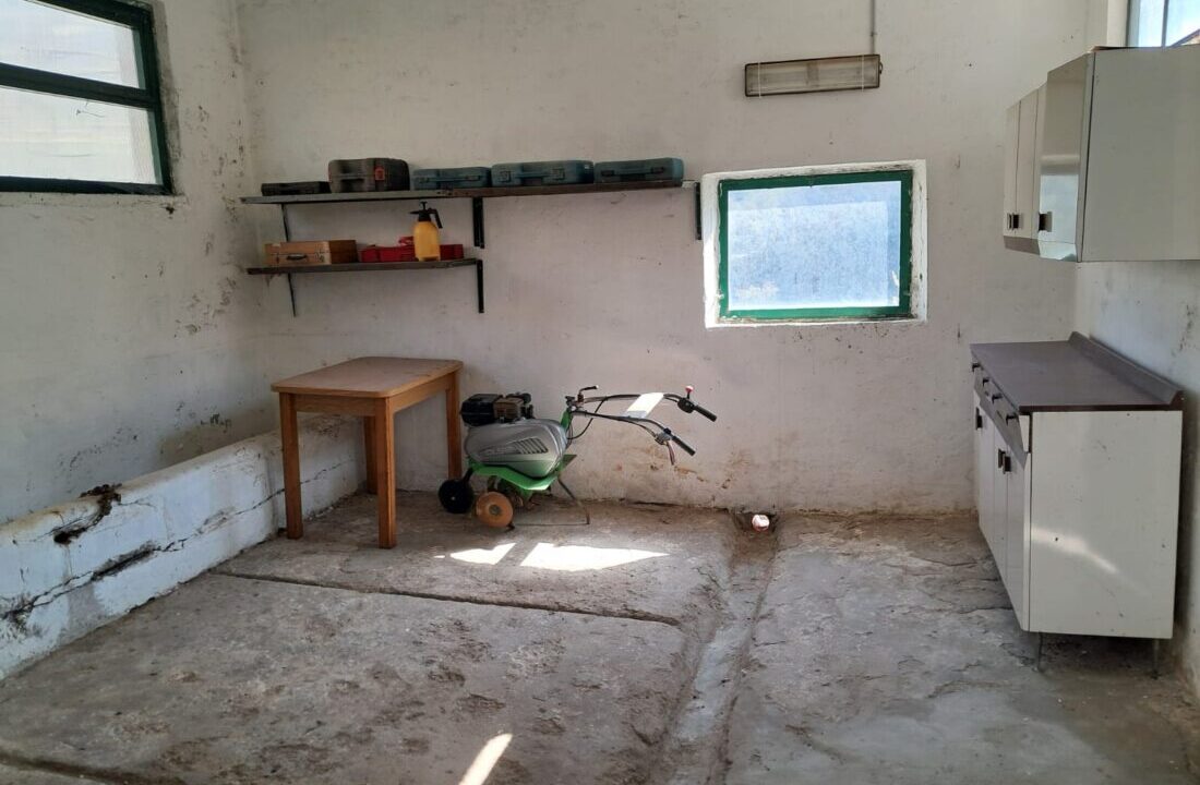 WhatsApp Image 2026-03-19 at 18.07.19 (2)