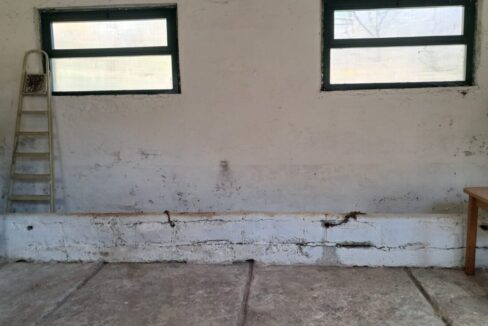 WhatsApp Image 2026-03-19 at 18.07.19