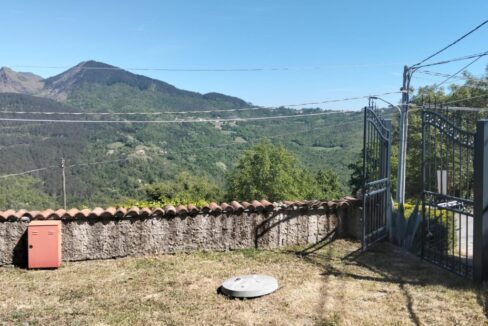 VRI 2636 VV (12)