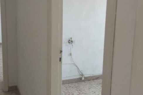 VRI 2644 VV (10)