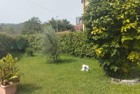 VRI 2658 VV (7)